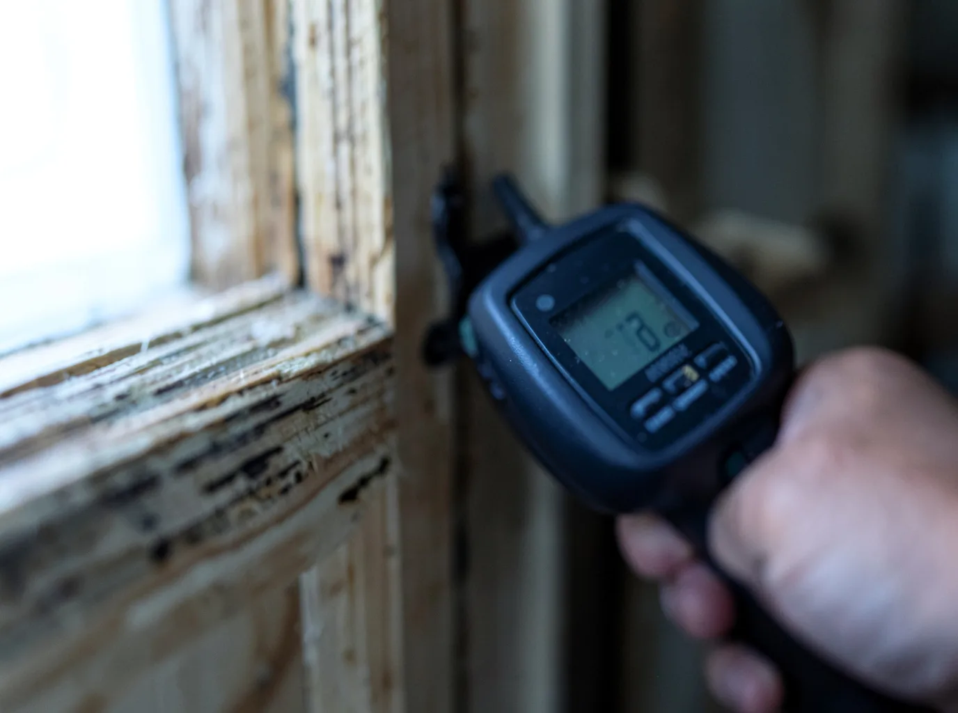 Commercial Water Damage Restoration in Williams, AZ